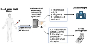 Mathematical modelling could play in blood-based liquid biopsy development