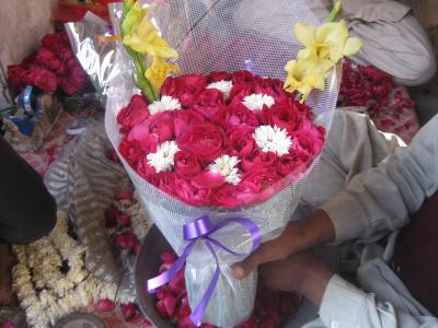 A Rosy Future for Pakistan's Cut Flower Industry