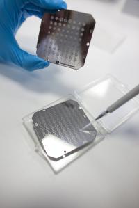 Bacteria Being Deposited on a Metal Plate