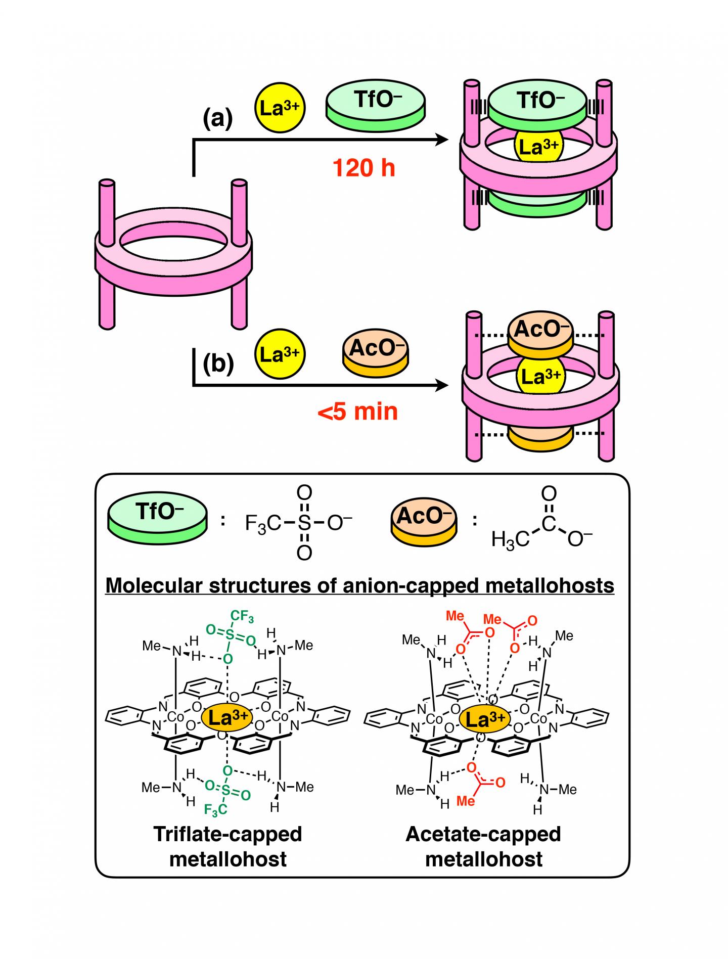 Figure 2 Image Eurekalert Science News Releases 