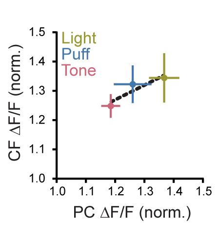 Sensory Enhancement Is Encoded In The Presynaptic Activity Level Of Climbing Fibers