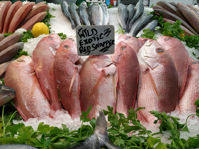 Tropical red snapper for sale in a London market