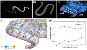 Paradise tree snake and vortex structures