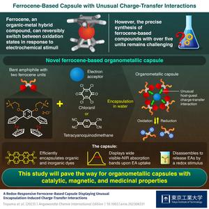 Ferrocene-Based Capsule with Unusual Charge-Transfer Interactions