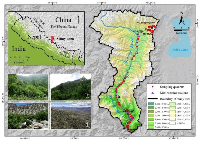 Fig. 1 Map of the study area showing the locations of the 96 sampling quadrats and 6 mini weather stations along the Gyirong Valley.