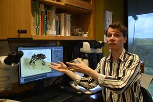 Environmental Science and Informatics Section (OIST) staff member Jake Lewis is working on taxonomy and evolution of weevils.