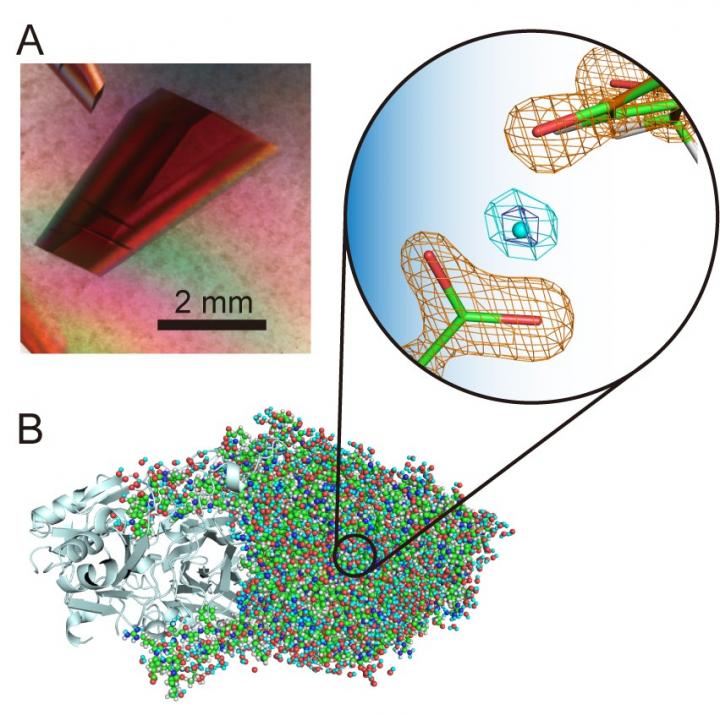 Fig. 1