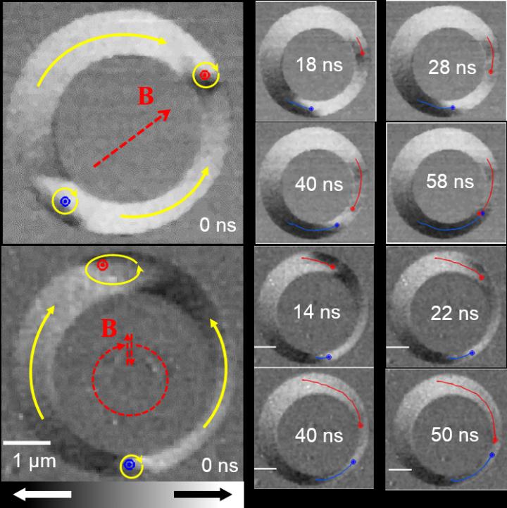 Switching in Assymmetric Permalloy Nanorings