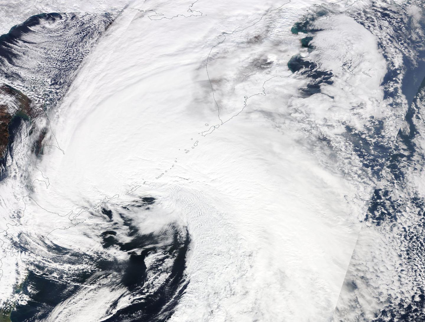 Terra image of Saola