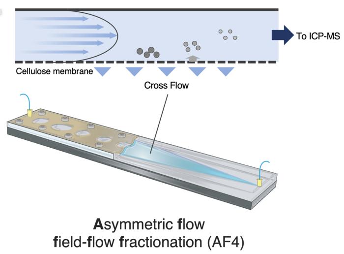 Principle of nanoparticle separation by AF4-ICP-MS