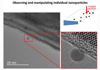 Nanoparticle Adhesion