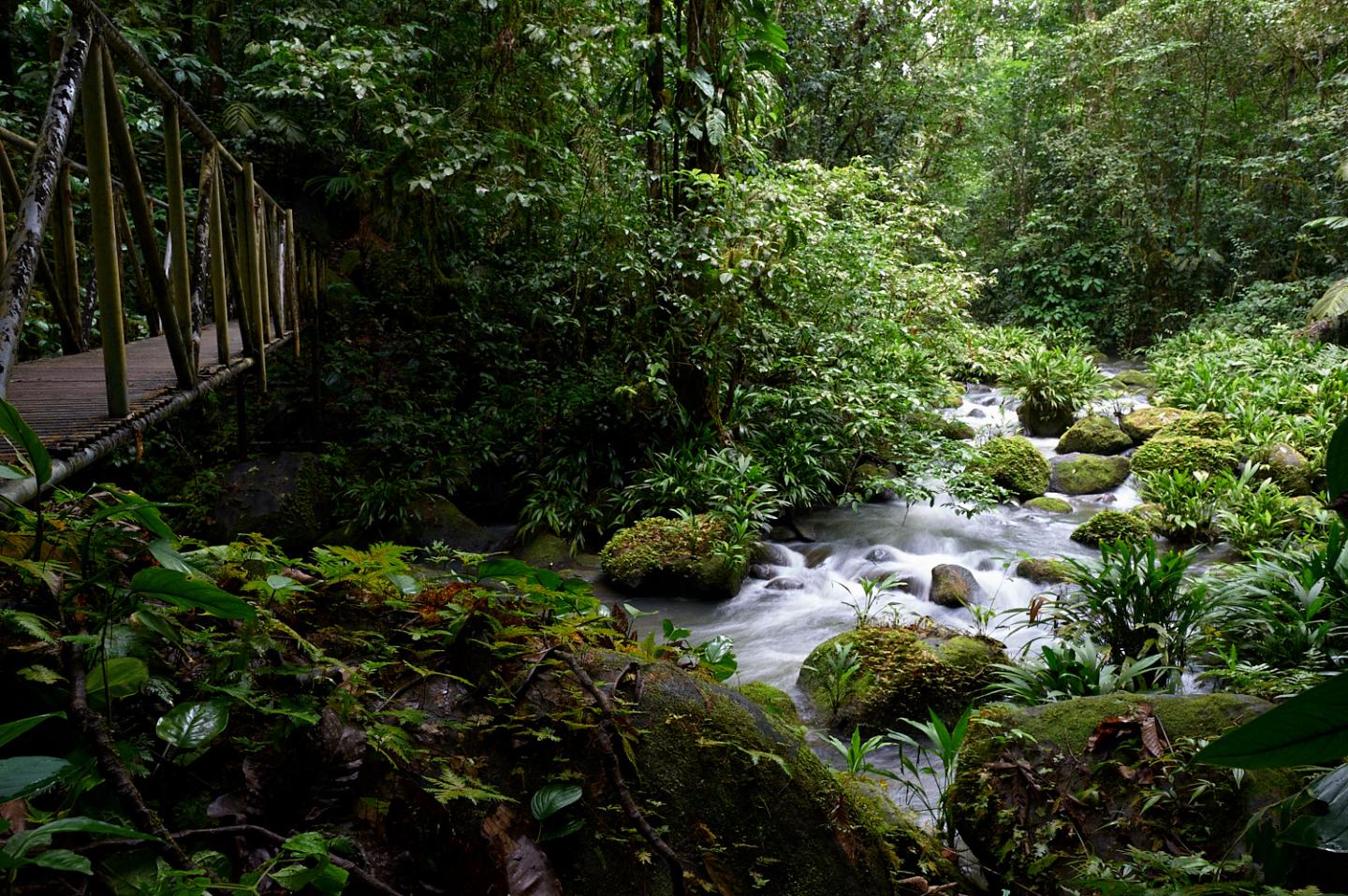 La Selva Biological Station, Costa Rica