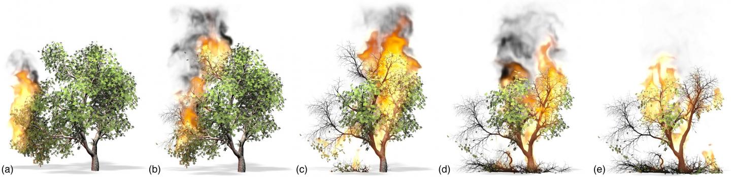 Trees on fire | EurekAlert!