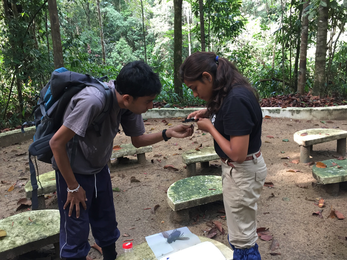 lead author in the field