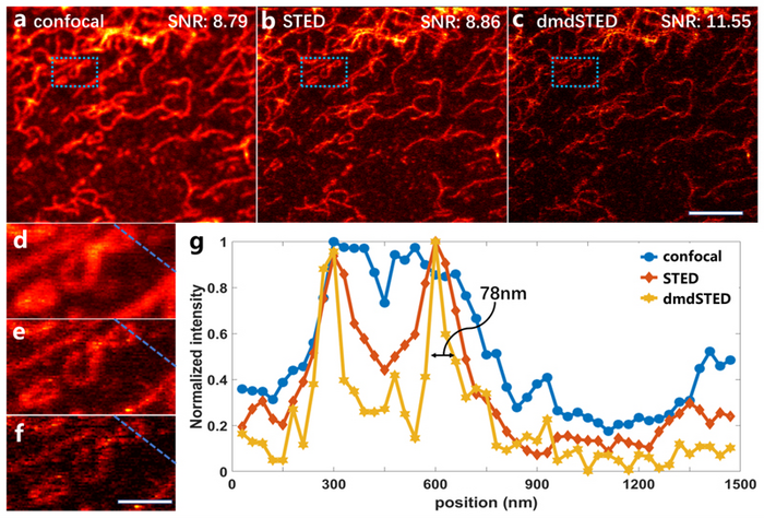 Biological cell imaging results