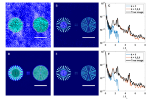 Results of the algorithm for 2 photon absorption