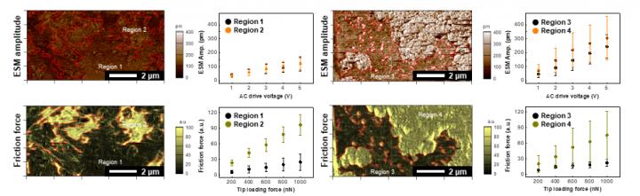 AFM Images