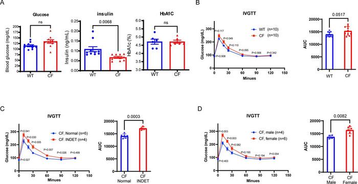 Compromised glucose metabolism in a subset of rabbits with cystic fibrosis (CF)