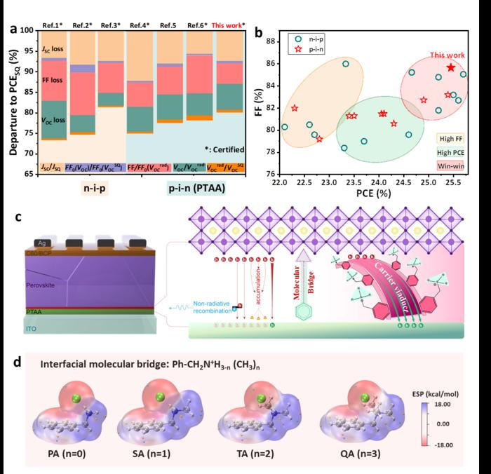 Novel Molecular Bridge Strategy Boosts Efficiency of Perovskite Solar Cells