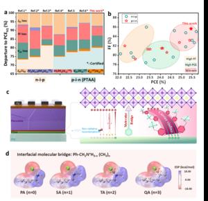 Novel Molecular Bridge Strategy Boosts Efficiency of Perovskite Solar Cells