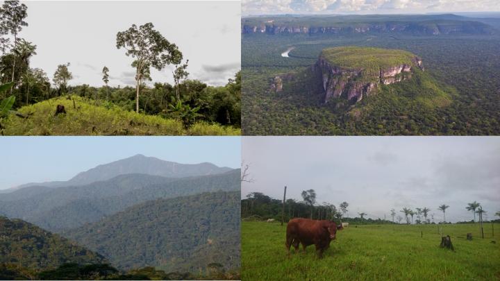 Colombian landscapes
