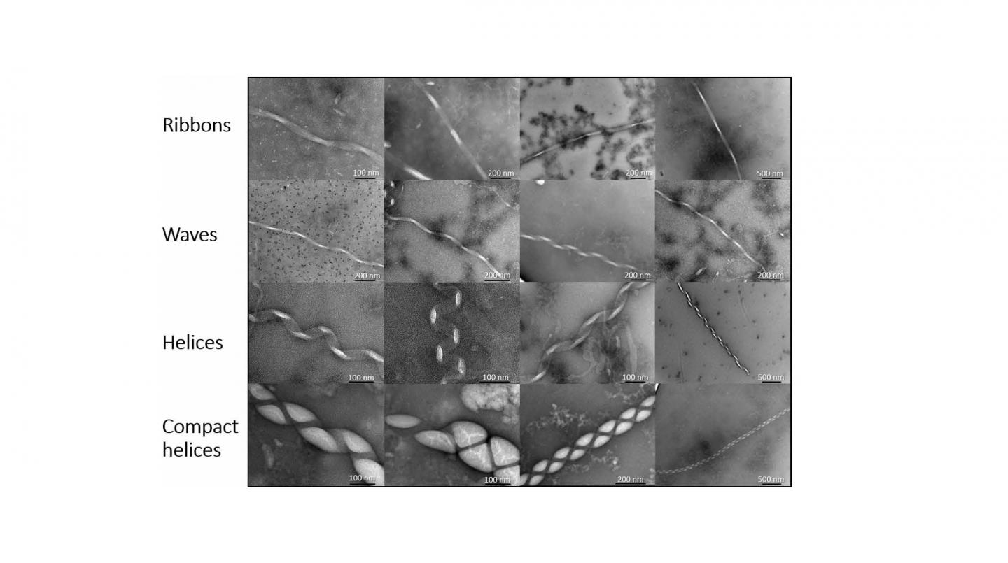 New Protein Structures