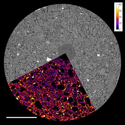 Image of Soil Pores and Roots