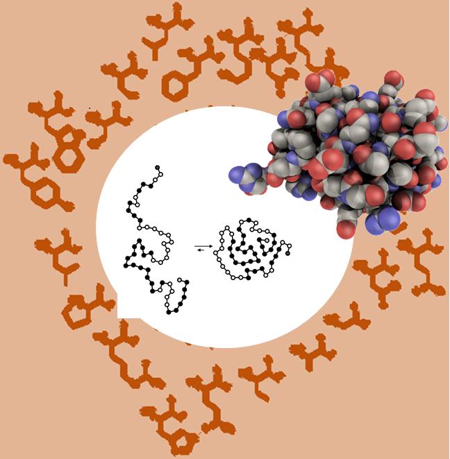 How Amino Acid Properties Affect Protein Folding