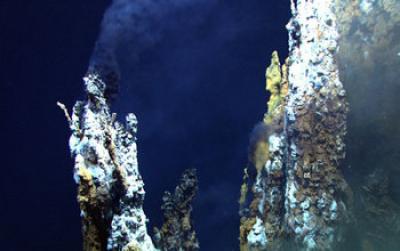 Near Deep-Sea Hydrothermal Vents