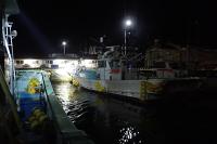 Fisheries Resilience Following Tohoku Tsunami