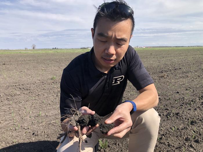 Agronomist Yichao Rui