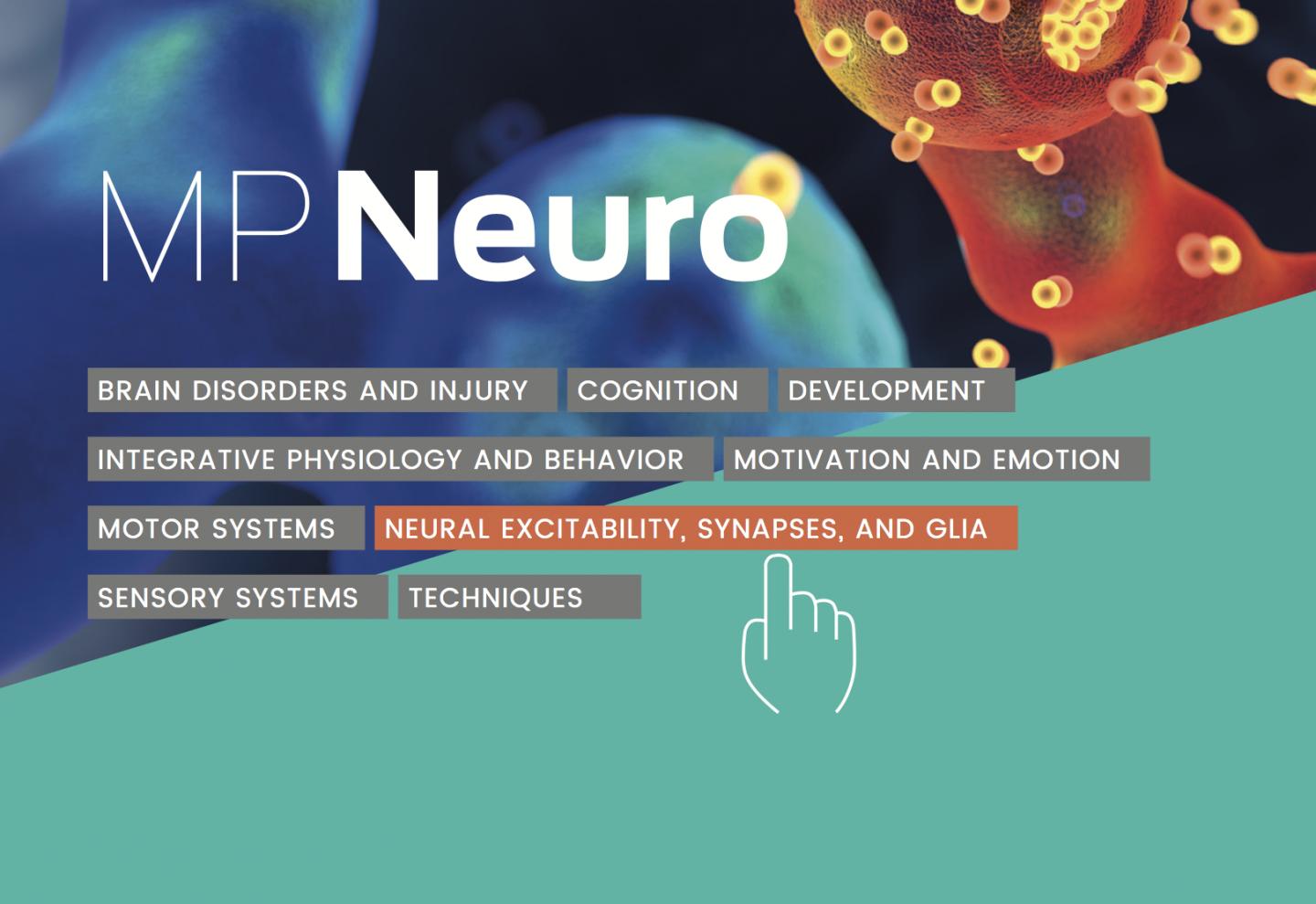Max Planck Neuroscience Website