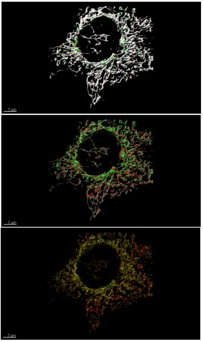 Snapshot from Video 1