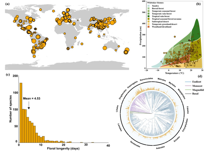 Global dataset of floral longevity in native plants