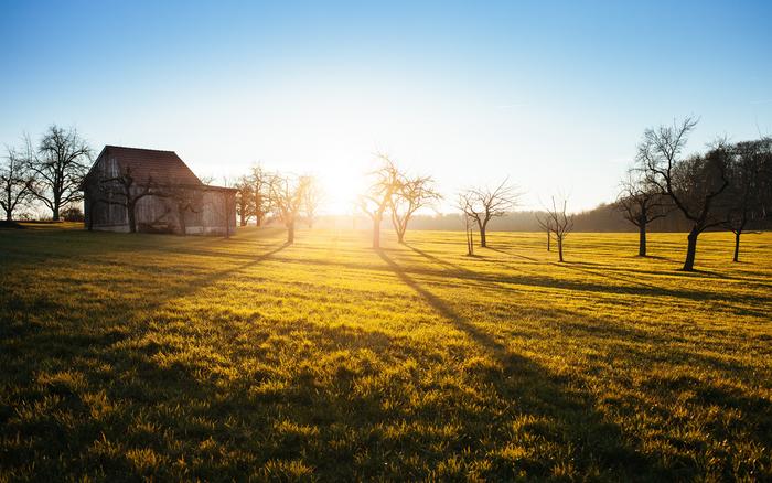 Rural Health Experts Launch New Online Resource to Help Farmers Build Healthy Relationships