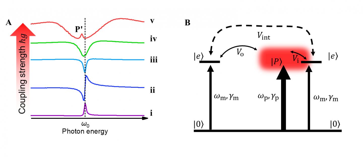 Coupling Strength