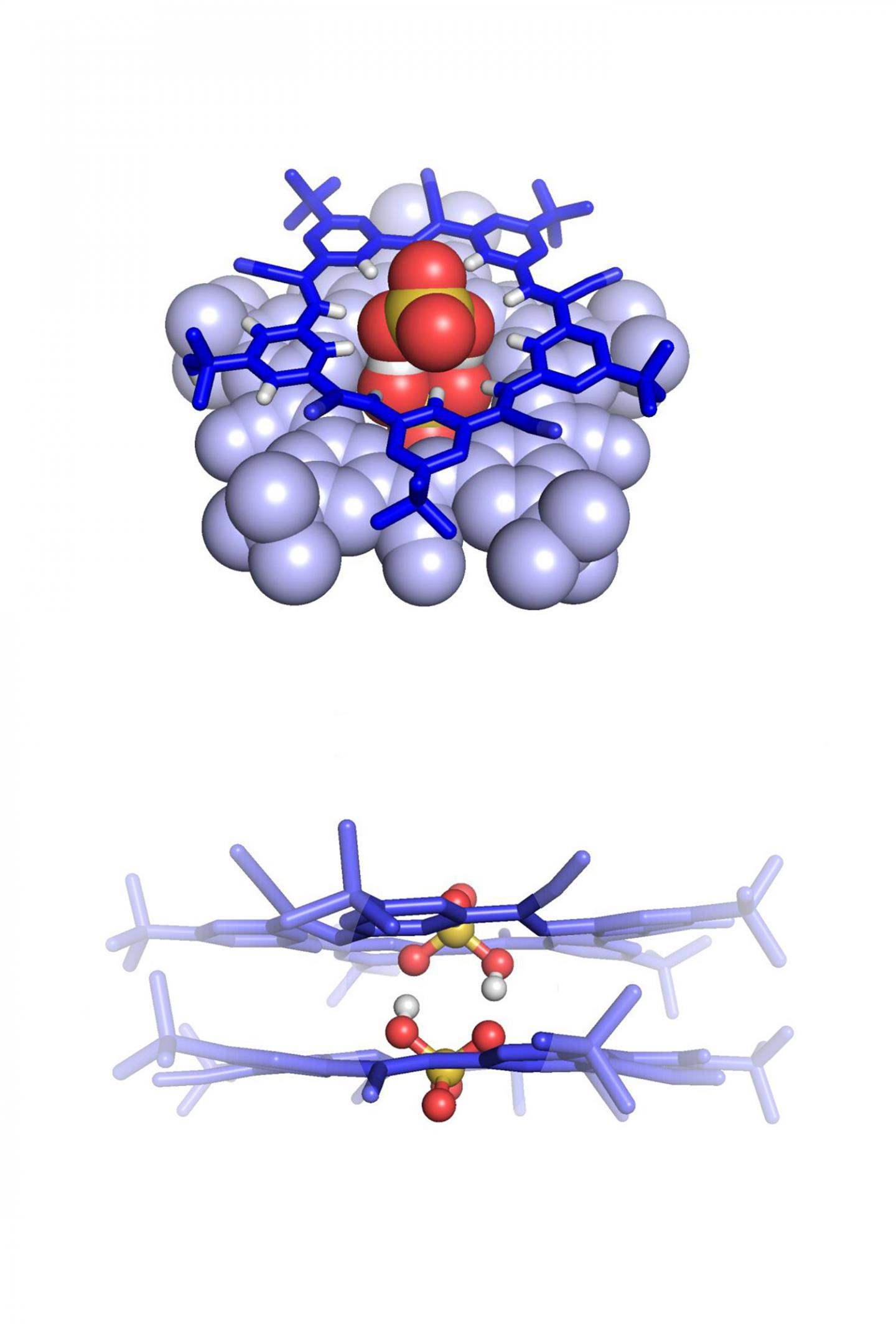 Two Negatively Charged Bisulfate Dimers