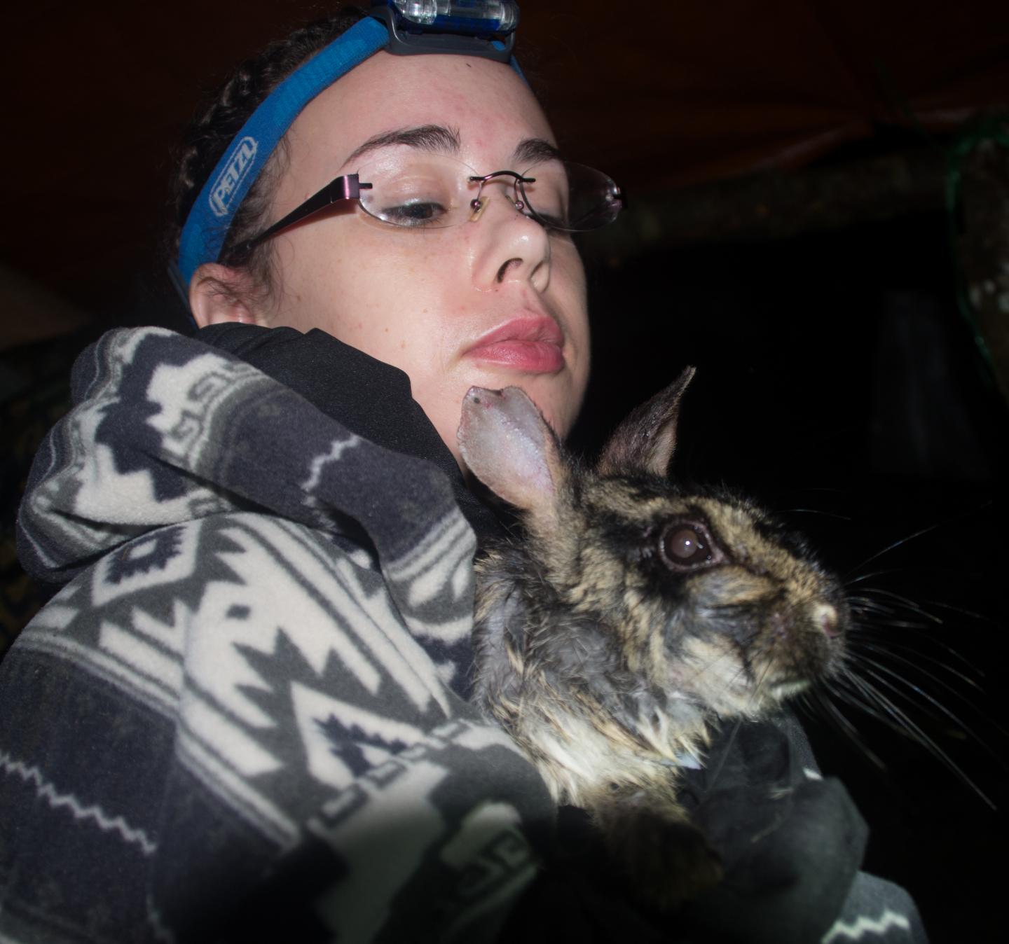 UEA Researcher Finds Rare and Elusive Annamite Striped Rabbit