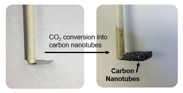 Growing Carbon Nanotubes