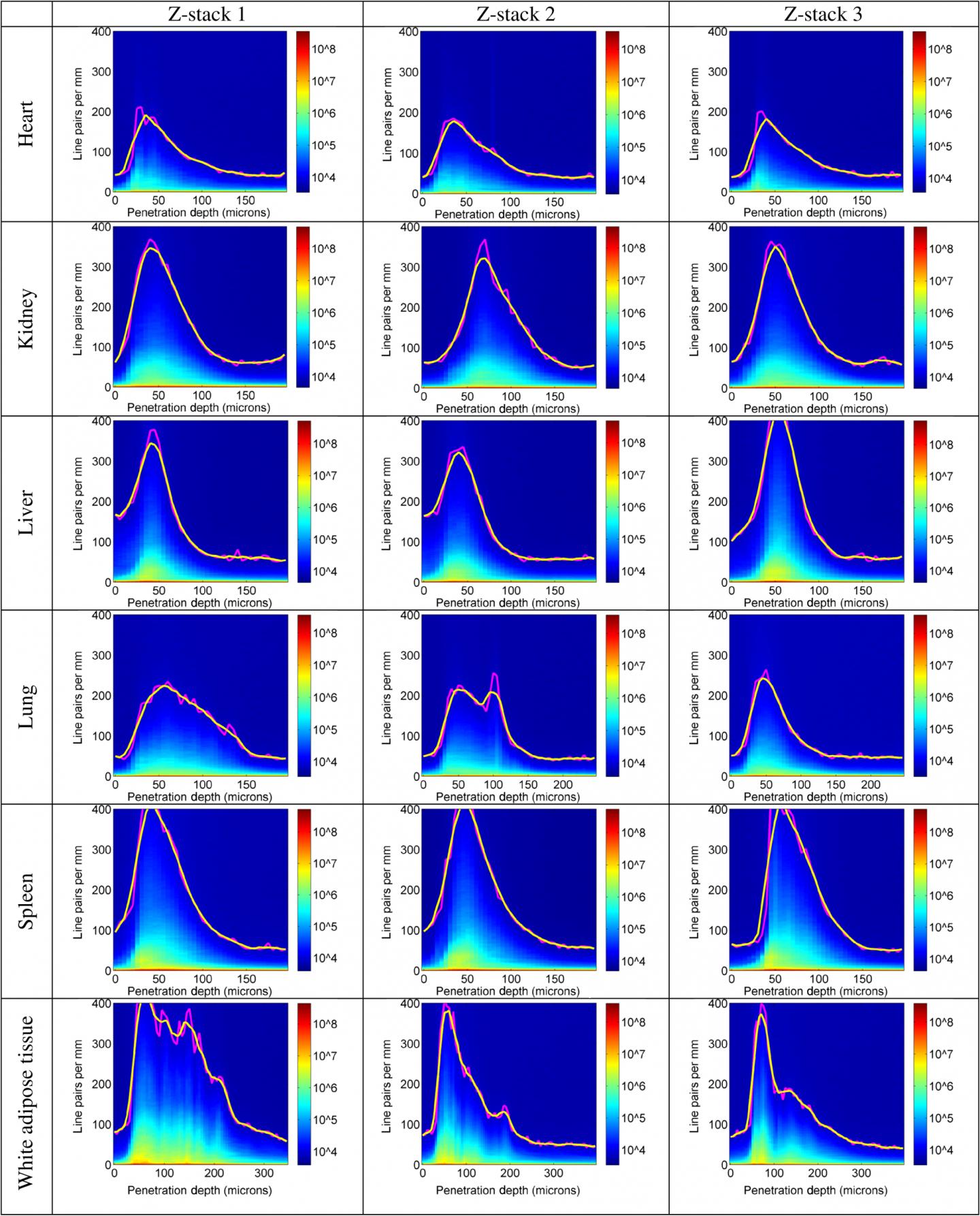 Penetration Depths for Temporal Focusing
