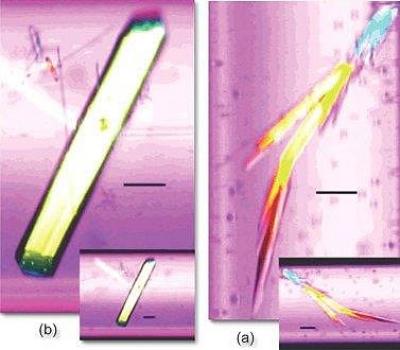 Protein Crystals [IMAGE] | EurekAlert! Science News Releases