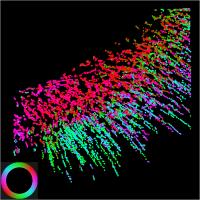 Orientation of Actin Filaments Imaged in Live Cells (1 of 2)
