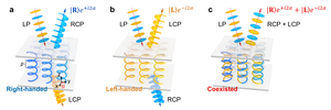 Schematic illustration of common CLC superstructures and opposite-chirality-coexisted superstructures.