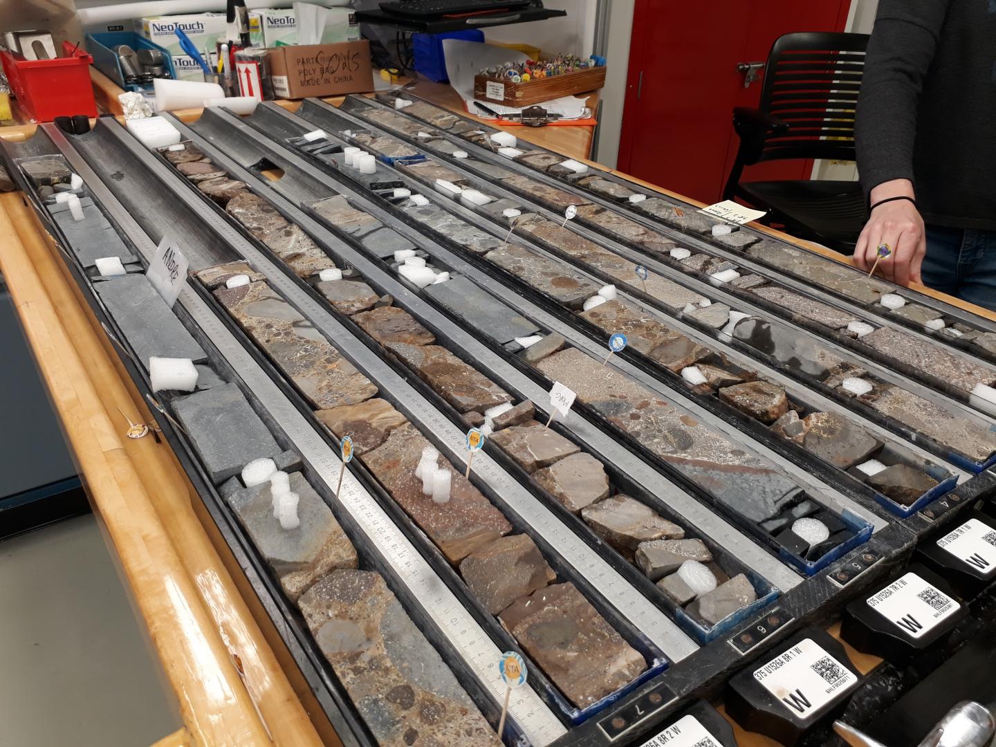 Cores from New Zealand's Hikurangi Subduction Zone