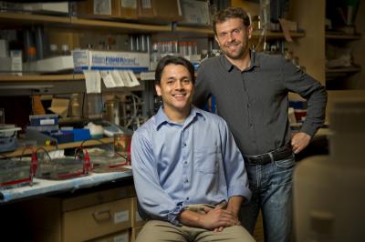 Preston Campbell and Florent Elefteriou, Ph.D., Vanderbilt University Medical Center