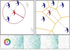 Compound image (compare neighbours + bands)