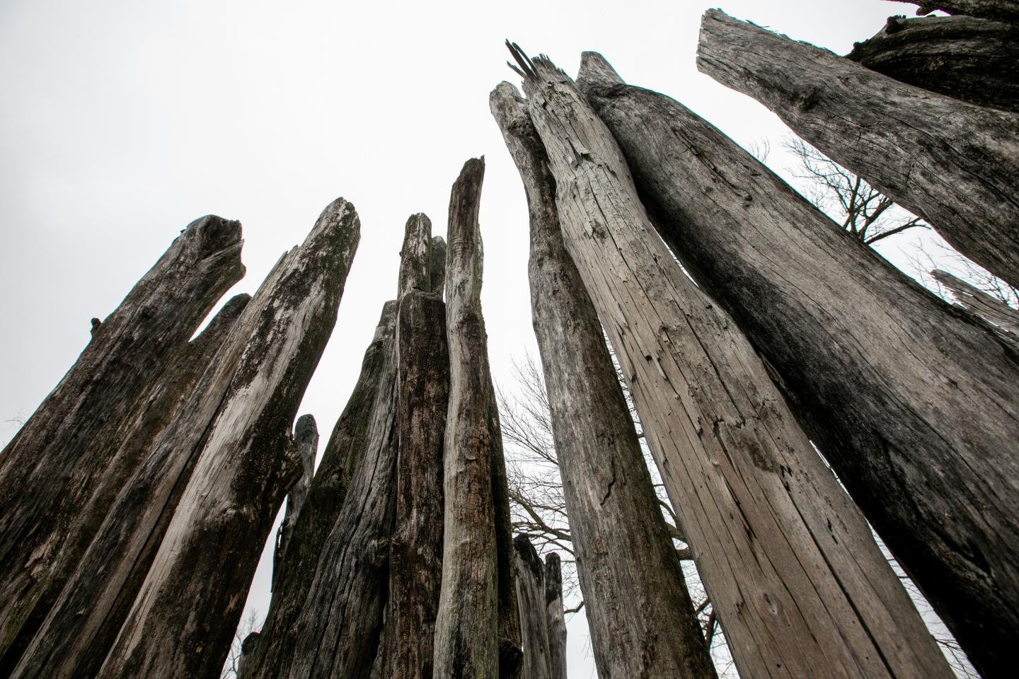 Cahokia Mounds State Historic Site