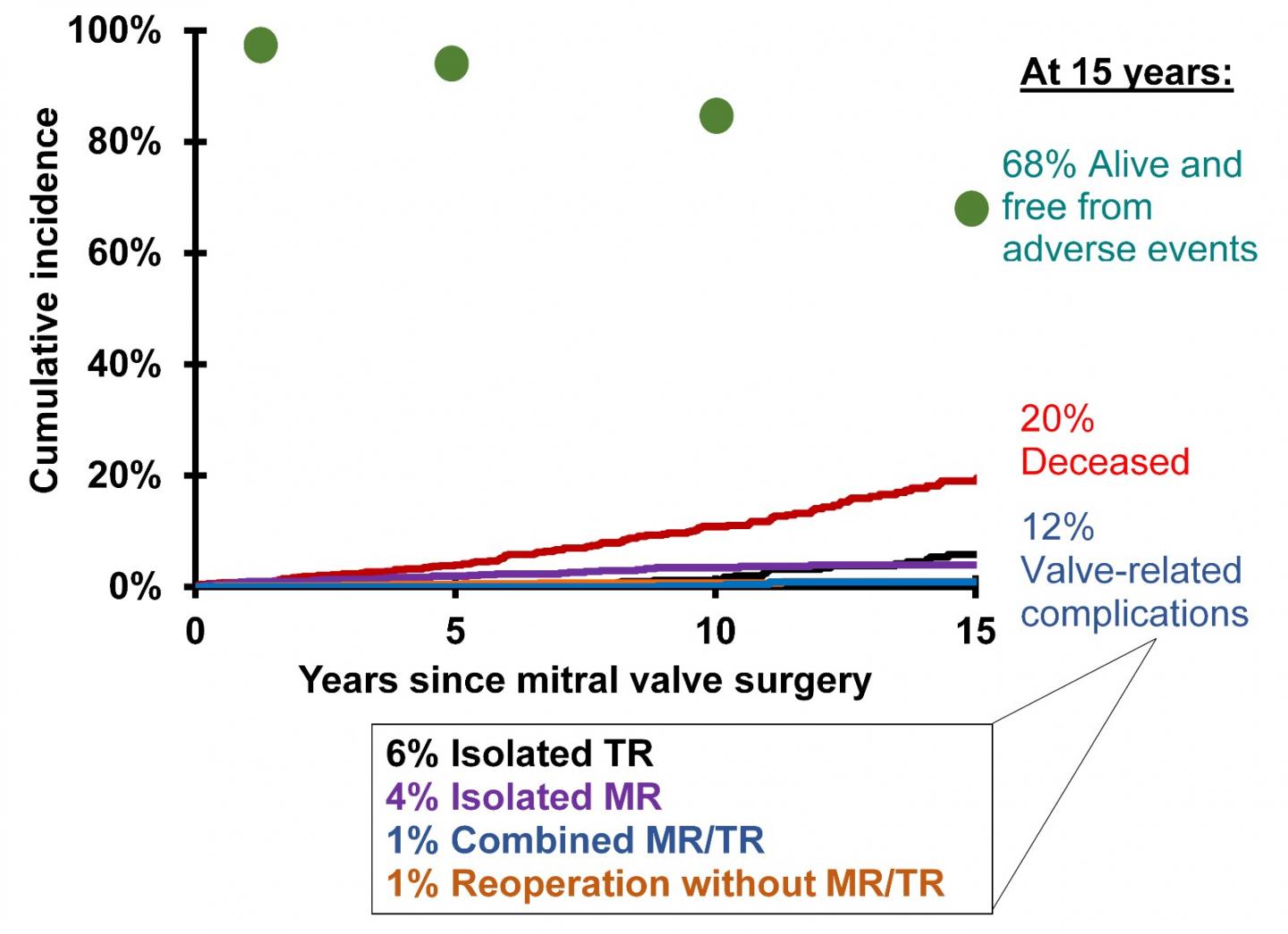 Older Patients with Atrial Fibrillation at Greater Risk for Post-Op Tricuspid Regurgitation After Mitral Valve Repair