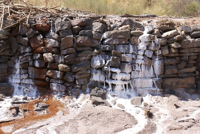 Salinización de los ecosistemas de agua dulce