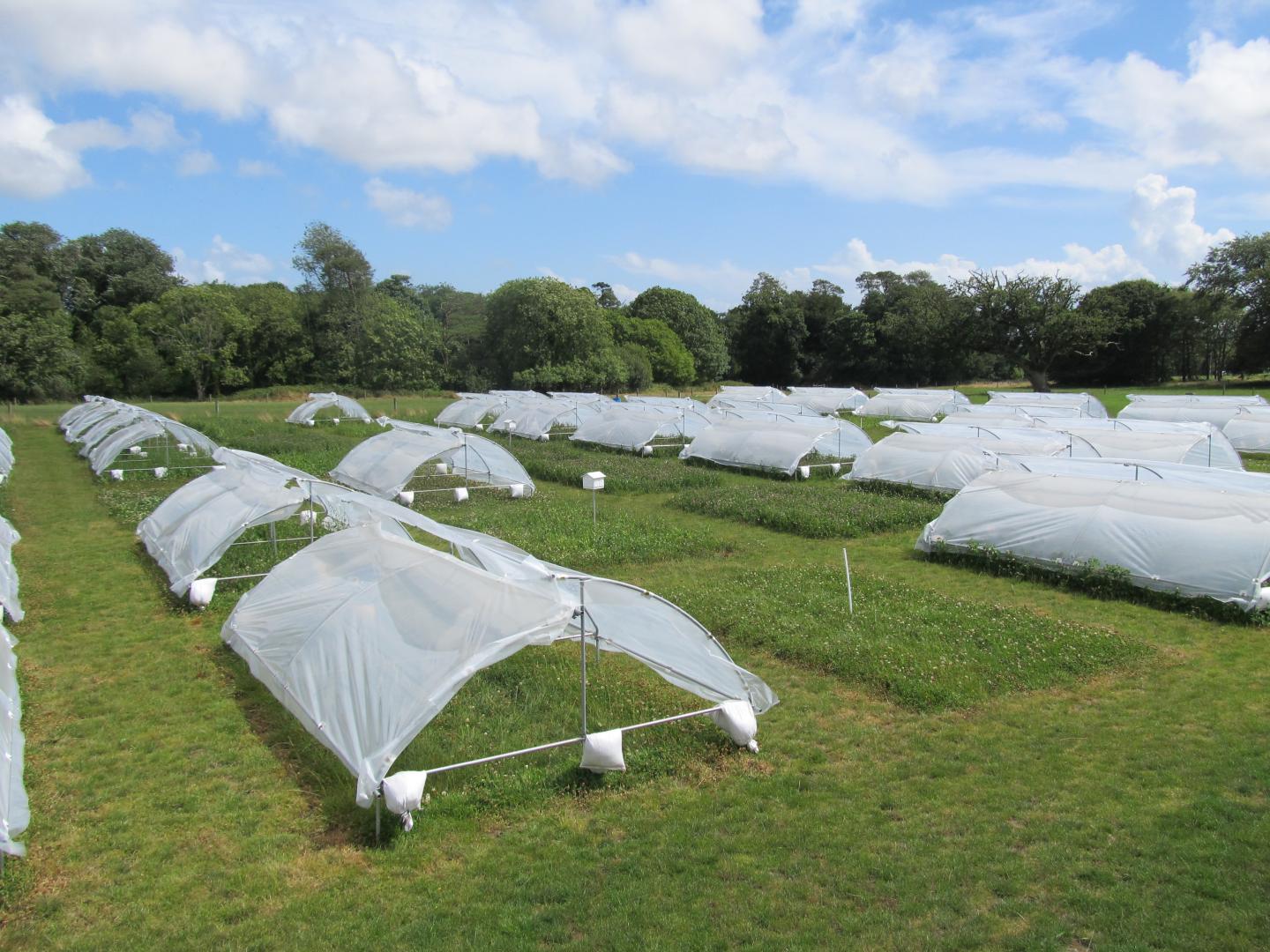 Drought Shelters